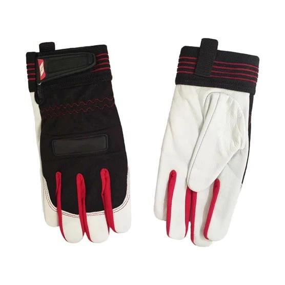 info-556-556 info-556-556